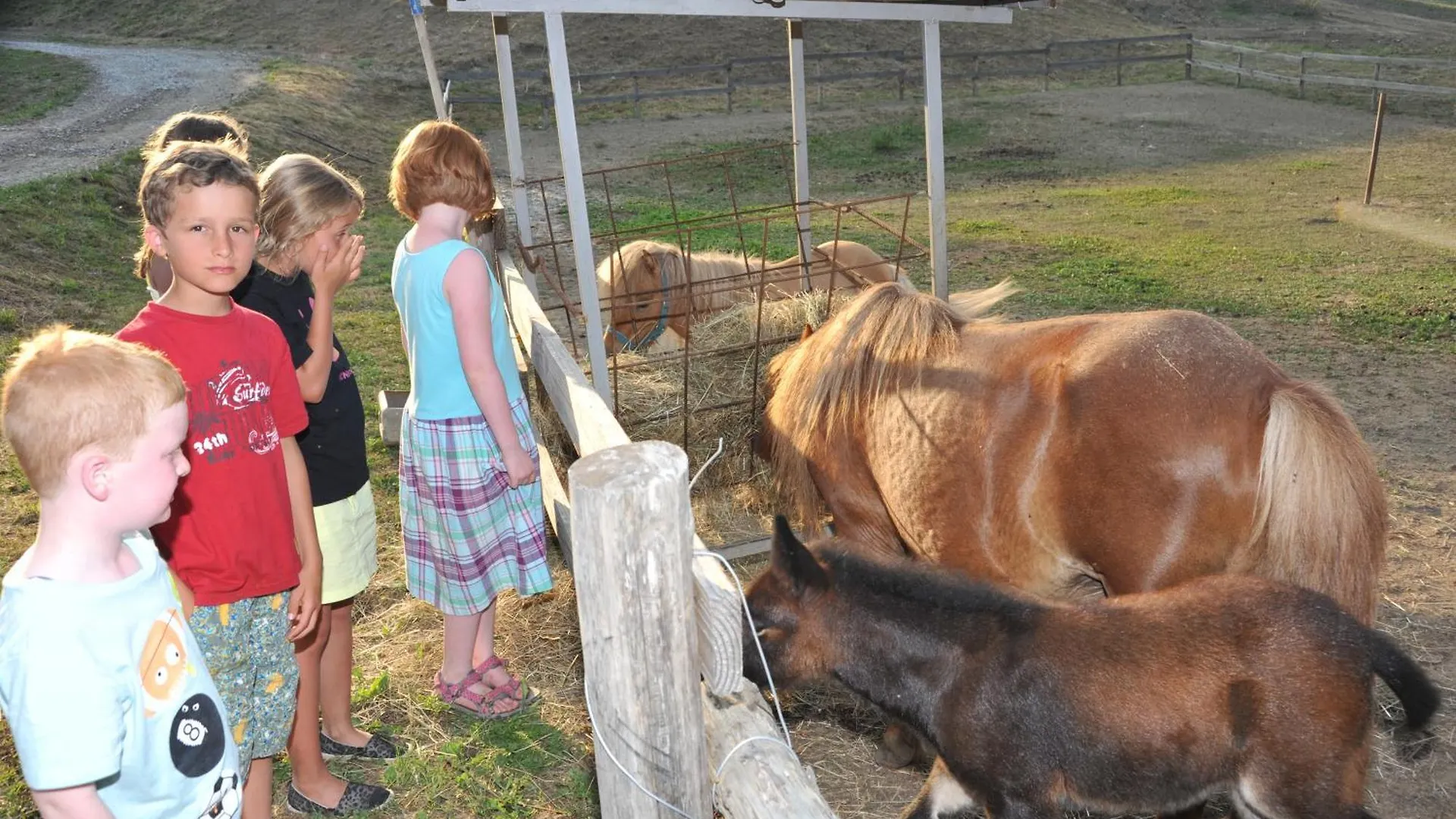 Farm stay Agriturismo Polla Camporgiano