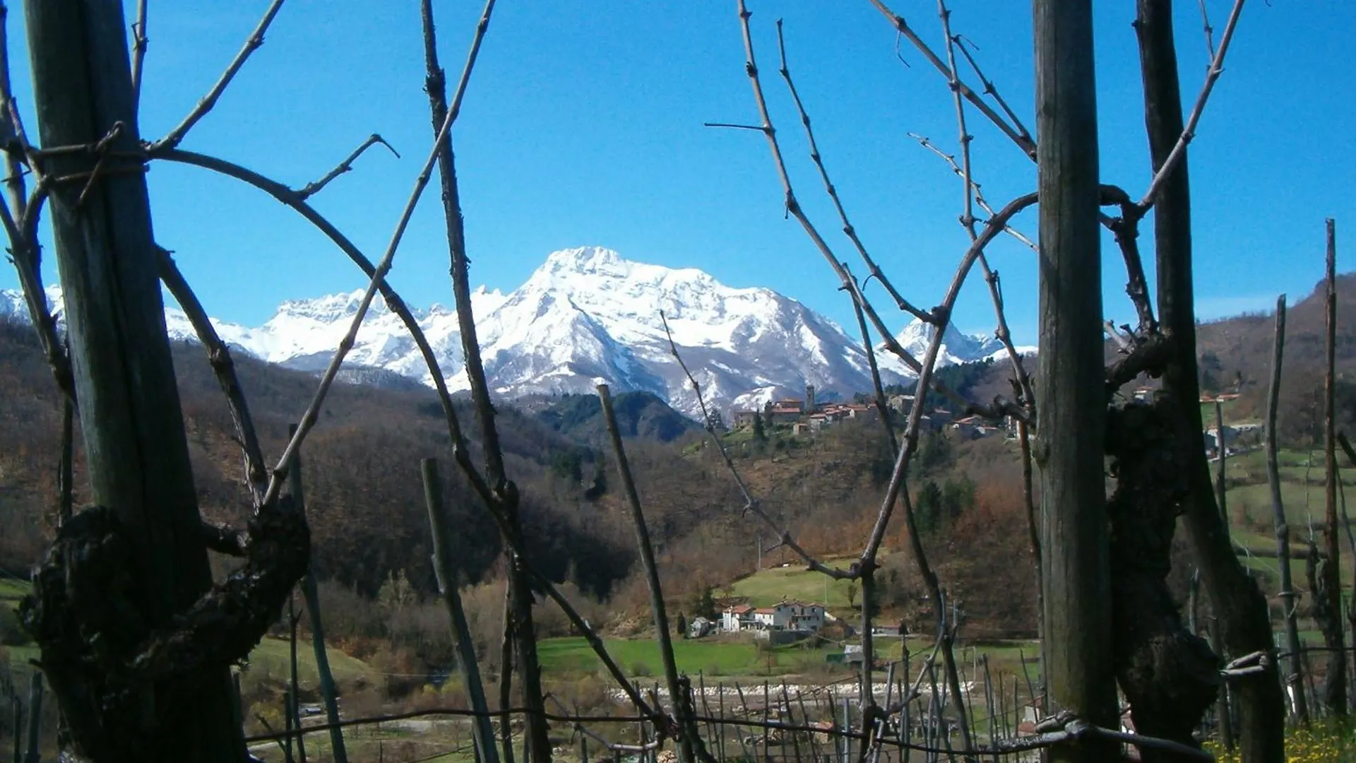 Agriturismo Polla Camporgiano