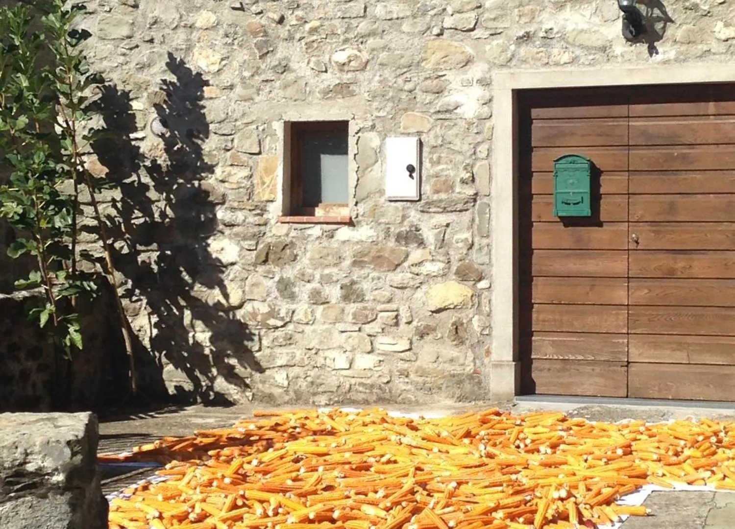 Farm stay Agriturismo Polla Camporgiano