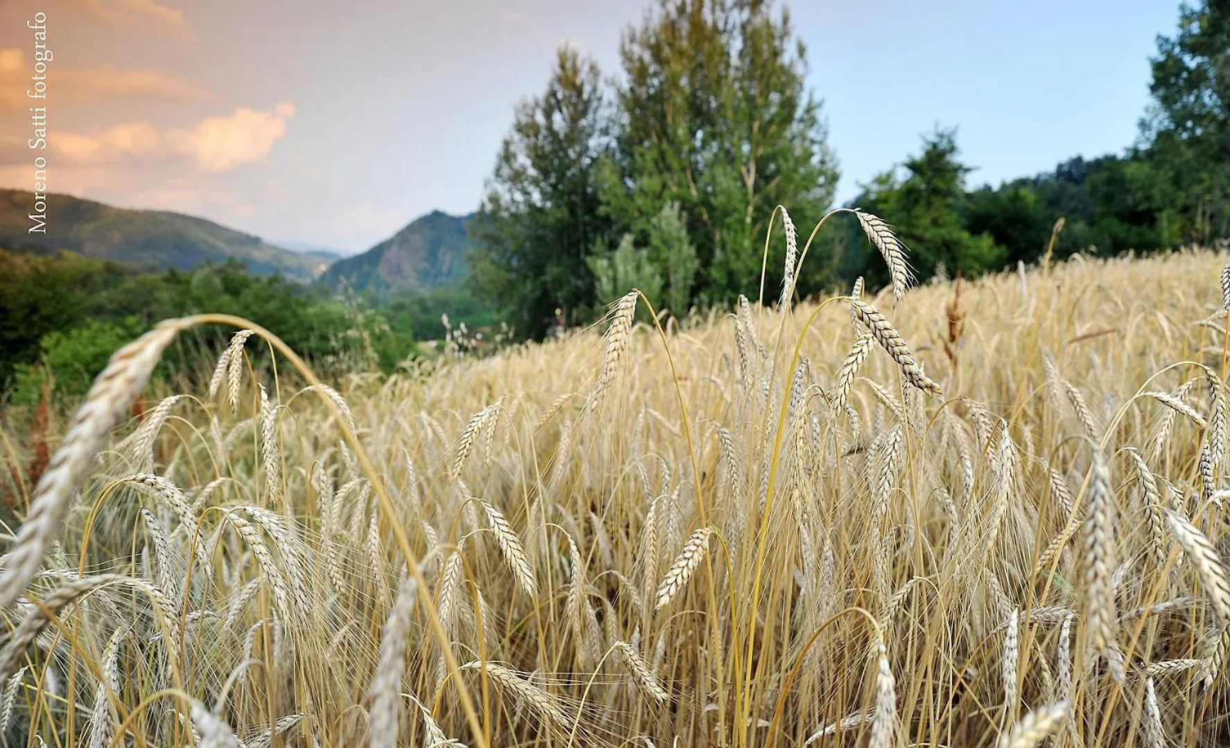Agriturismo Polla Camporgiano