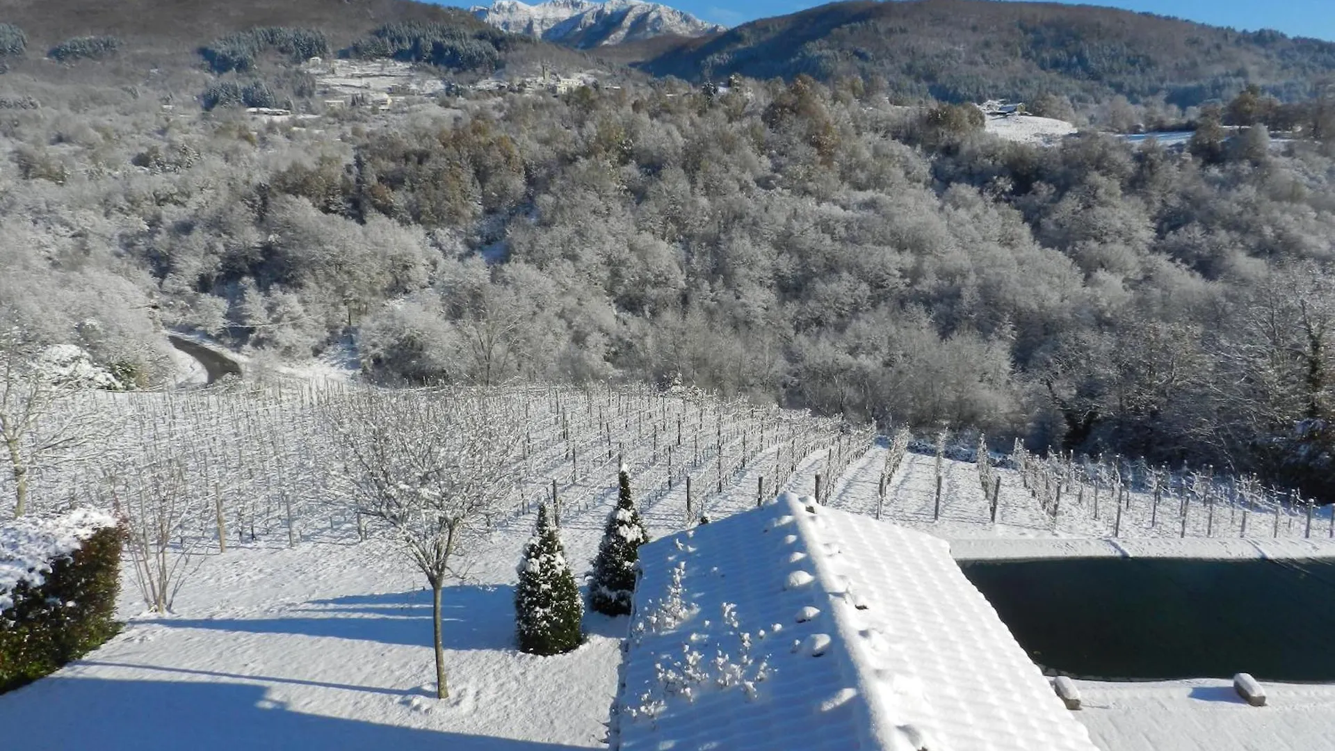 Séjour à la ferme Agriturismo Polla Camporgiano